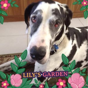 Meet your Posher, Nedda